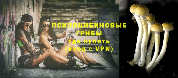 дживик Протвино