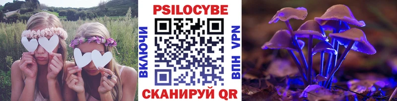 наркошоп  Солигалич  Псилоцибиновые грибы мухоморы 